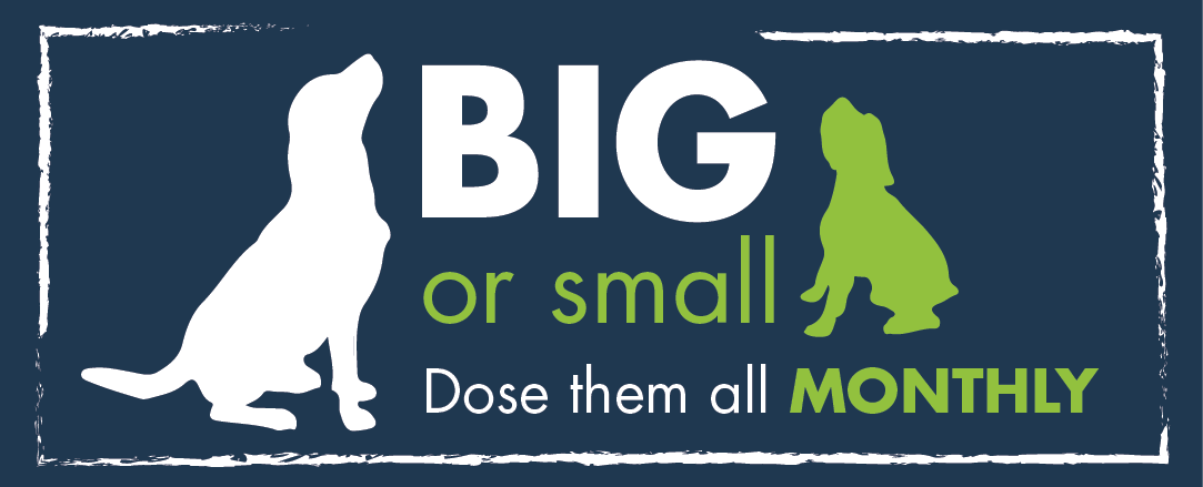 Big or Small