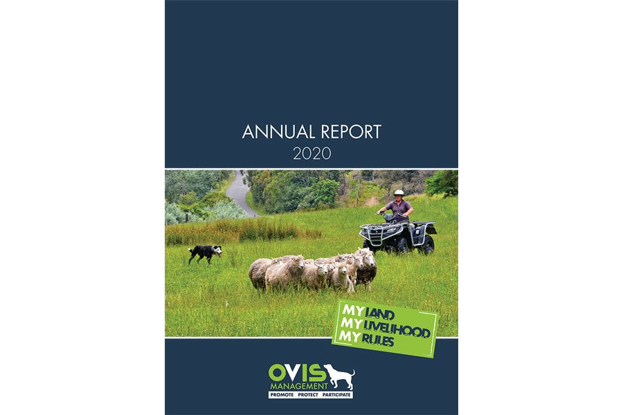 Annual Report 2020
