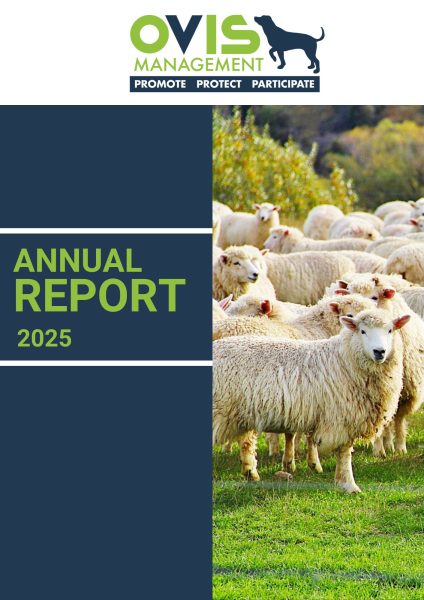 Annual Report 2025